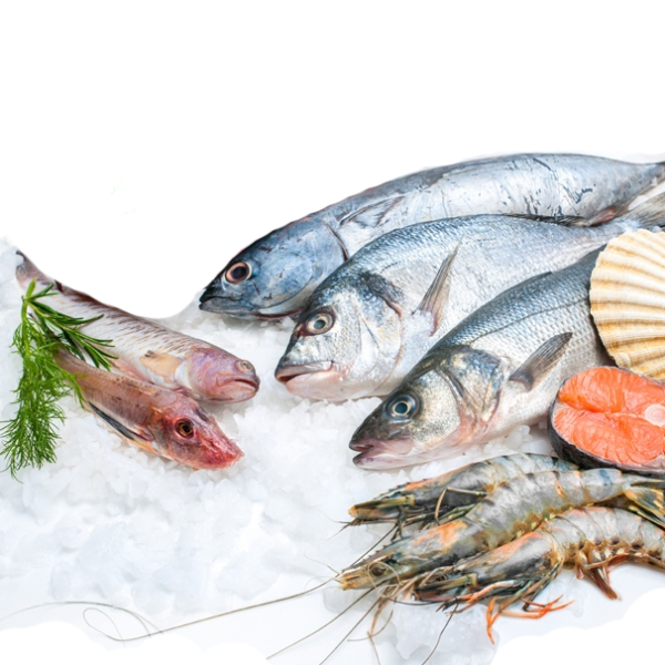 Рыба замороженная живая. Свежемороженая рыба. Замороженная рыба и морепродукты. Рыба и морепродукты без фона. Замороженная рыба на белом фоне.