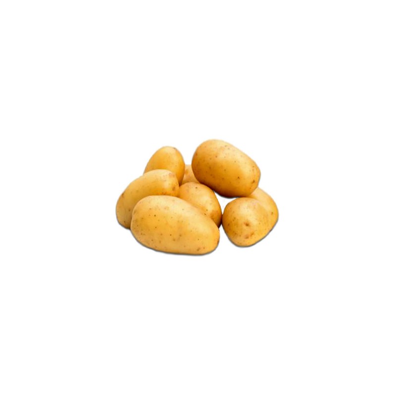pomme-de-terre - Groupe Charlet