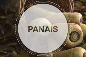 Panais