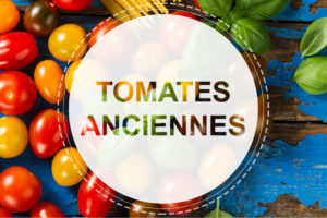 Tomates anciennes