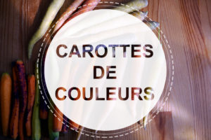 Carottes de couleur