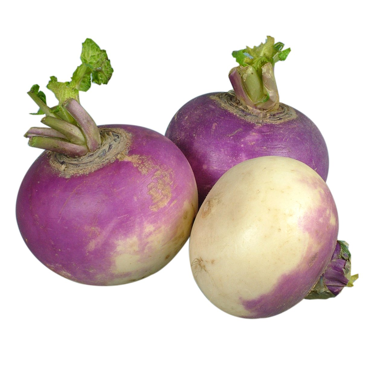 Navet Violet Tout Sur Le Navet Histoire Cuisine Producteur Bienfaits